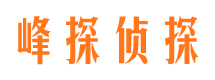 镜湖私家侦探